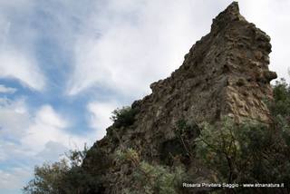 stellaccio02-07-2015 19-14-19